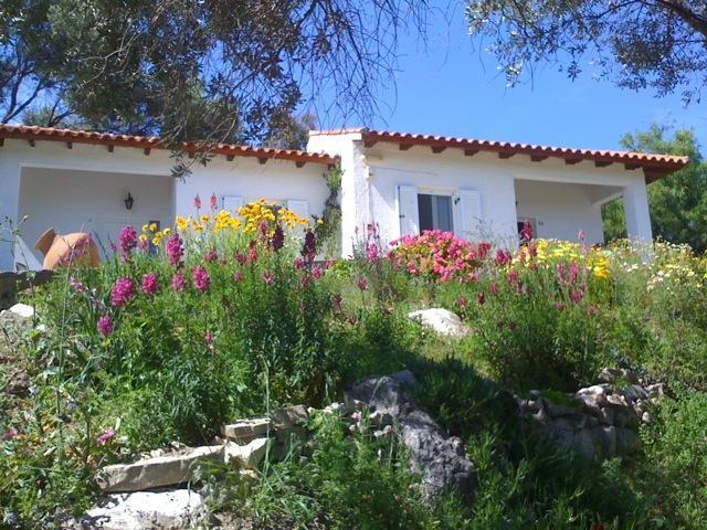 Elena Bungalows Aparthotel Питагорио Стая снимка
